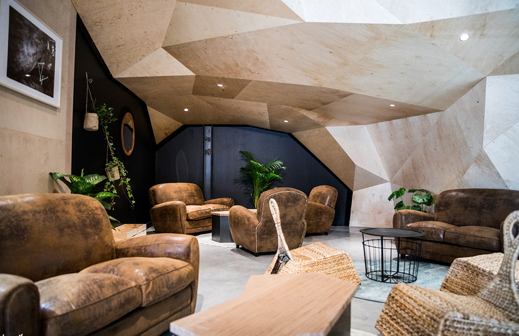 La forêt de peupliers