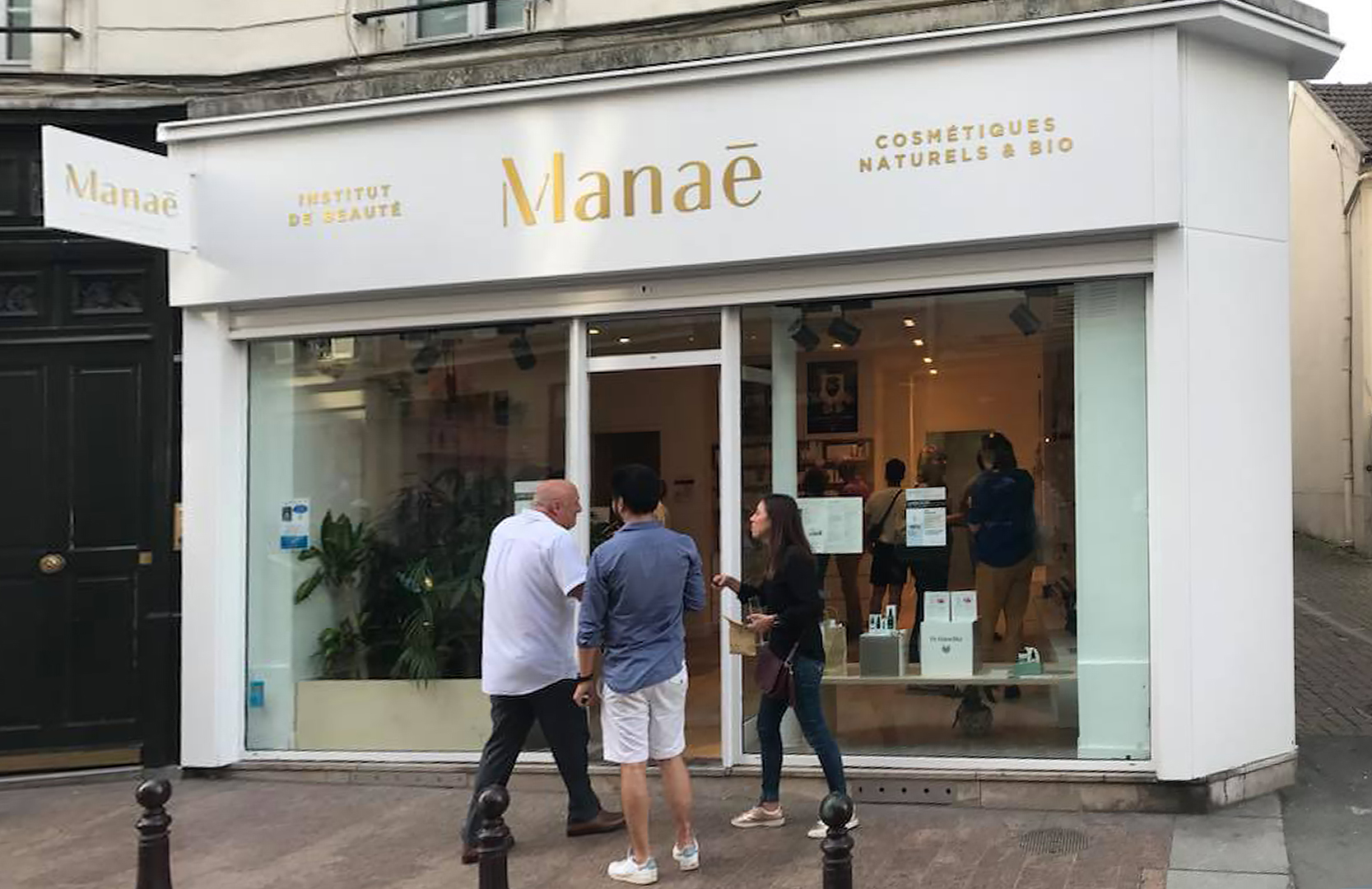 La forêt de peupliers